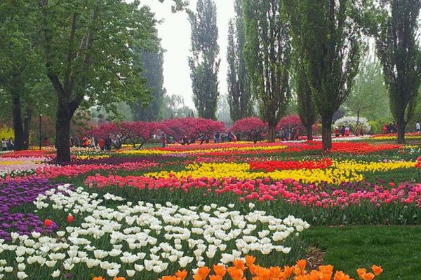 voc在線監(jiān)測儀 voc在線監(jiān)測儀